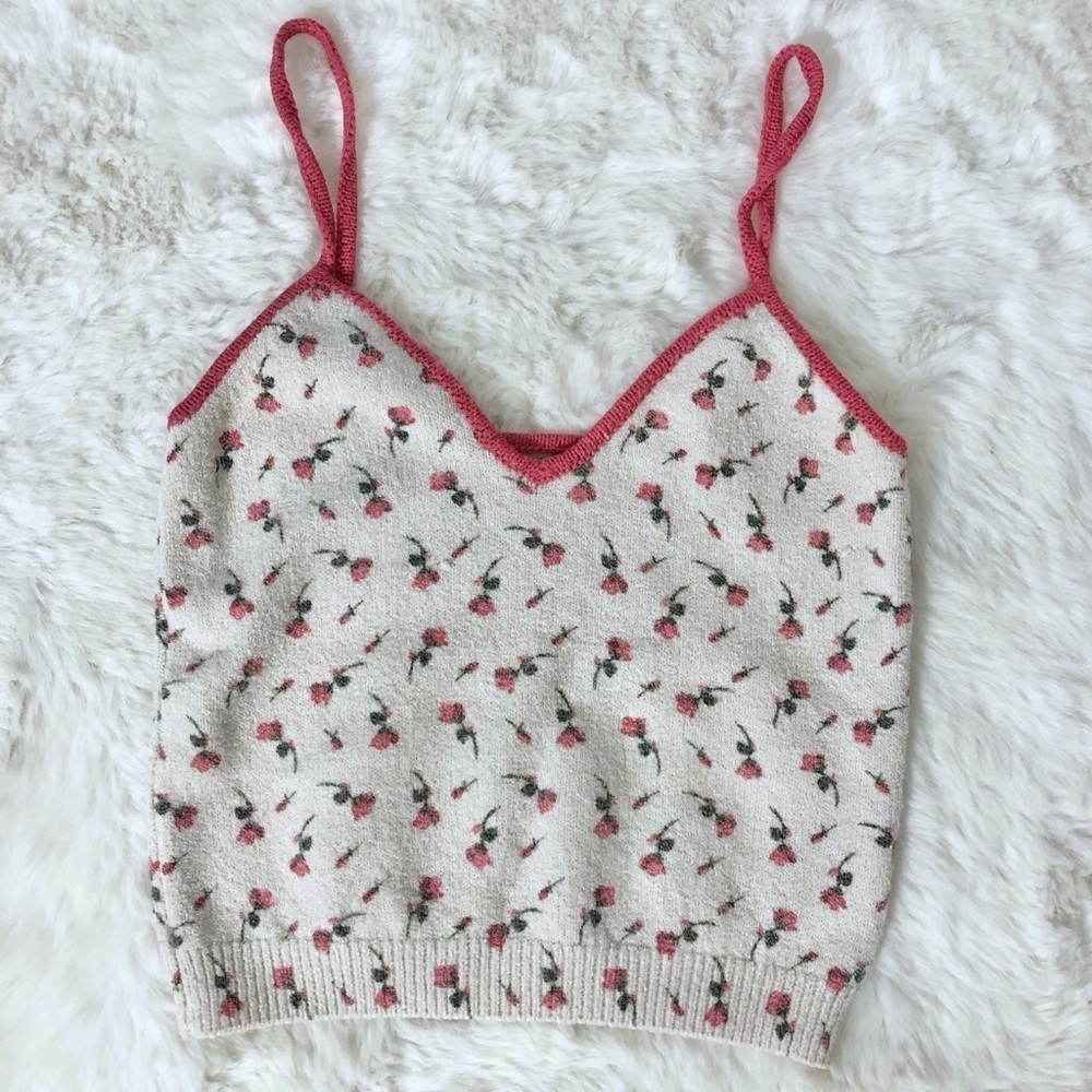 Zara Floral Print Knit Crop Top